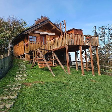 Gnezdo Vid-Ik Villa Catez ob Savi Bagian luar foto