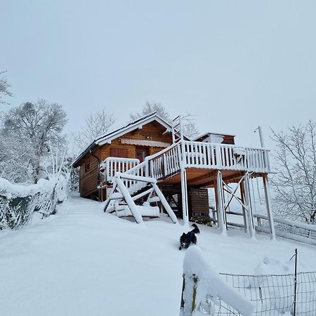 Gnezdo Vid-Ik Villa Catez ob Savi Bagian luar foto