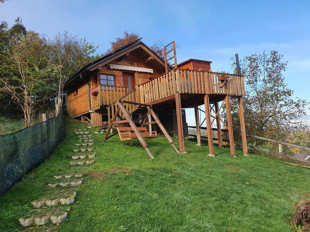 Gnezdo Vid-Ik Villa Catez ob Savi Bagian luar foto