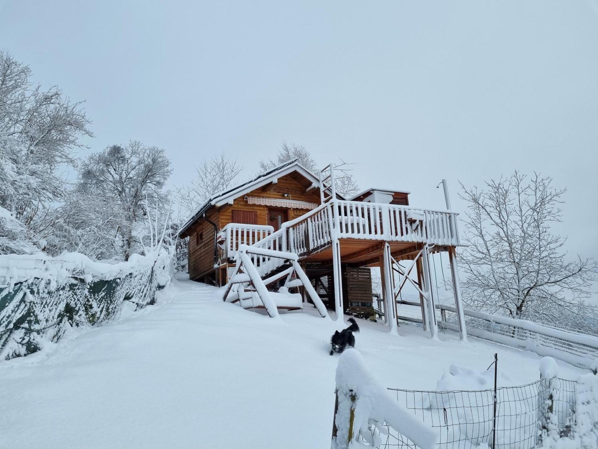Gnezdo Vid-Ik Villa Catez ob Savi Bagian luar foto